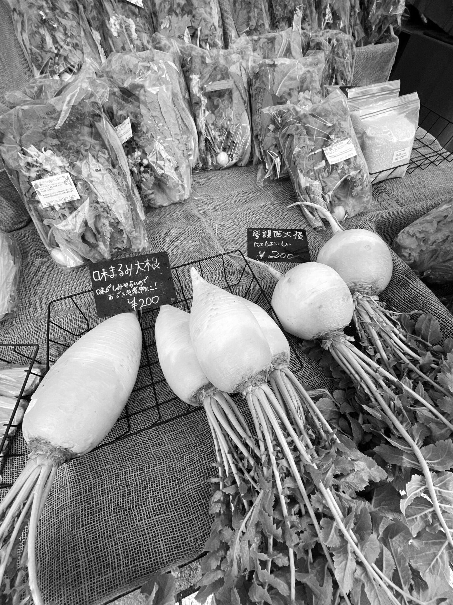 SHOGOIN DAIKON JAPANESE PICKLES