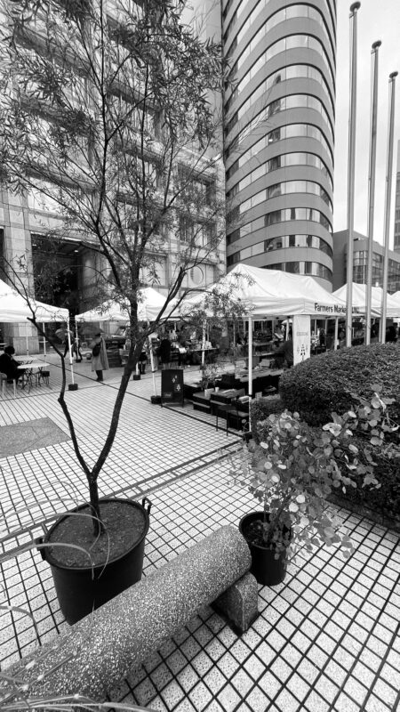Tokyo Autumn Farmers Market 2024 November 17