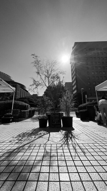 Tokyo Chocolate Festival at Farmers Market 2024 November 17 Shibuya