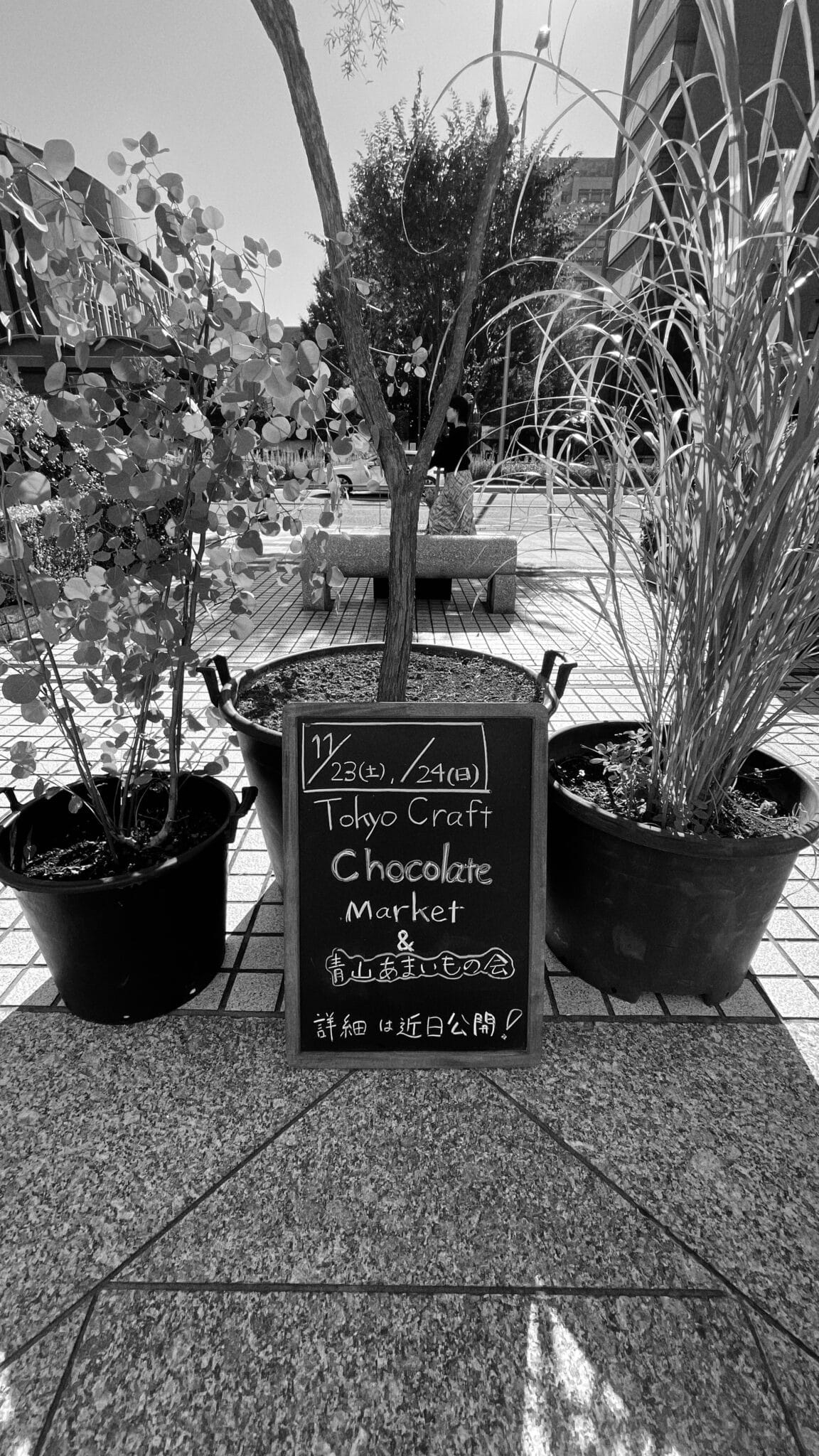 Tokyo Chocolate Festival at Farmers Market 2024 November 17 Shibuya