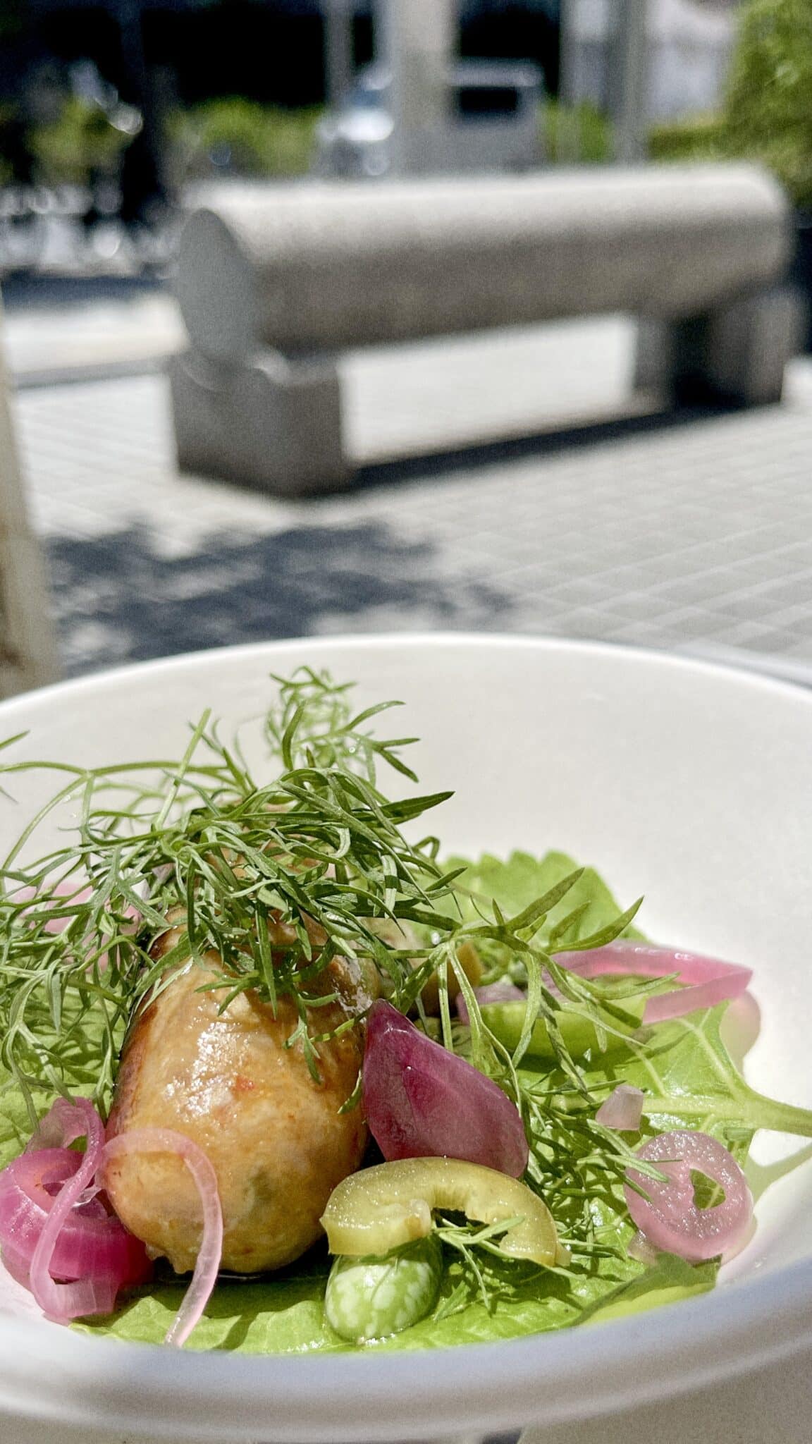 TOKYO FARMERS MARKET AOYAMA JULY SUMMER FESTIVAL 2025 FOOD BY TOKYO NIGHT MARKET